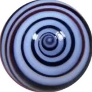 Meet your Posher, Annika